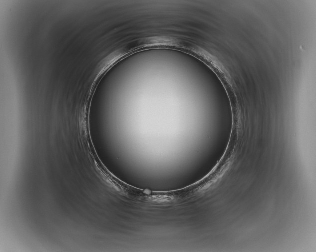 X0000116421137200912150953
