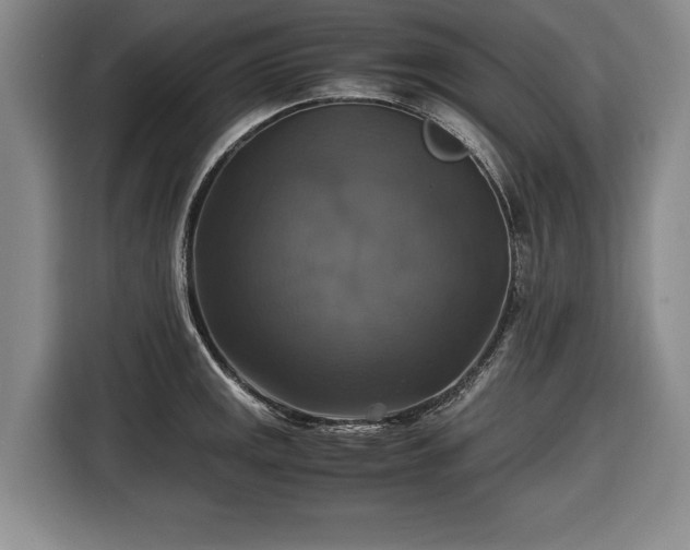 X0000116421141200912150953