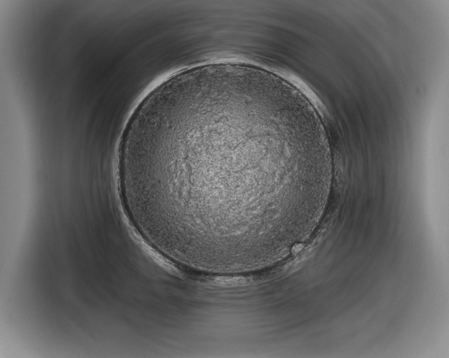 X0000116421142200912150953