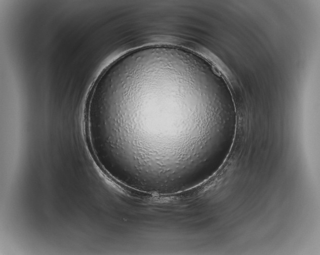 X0000116421143200912150953
