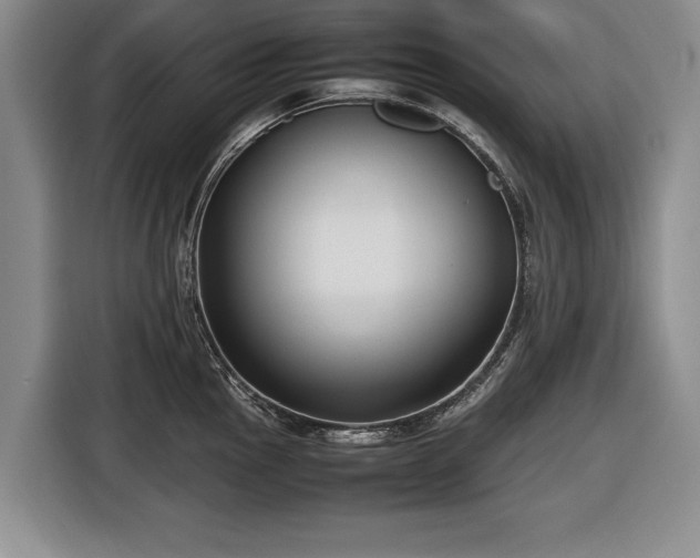 X0000116421145200912150953