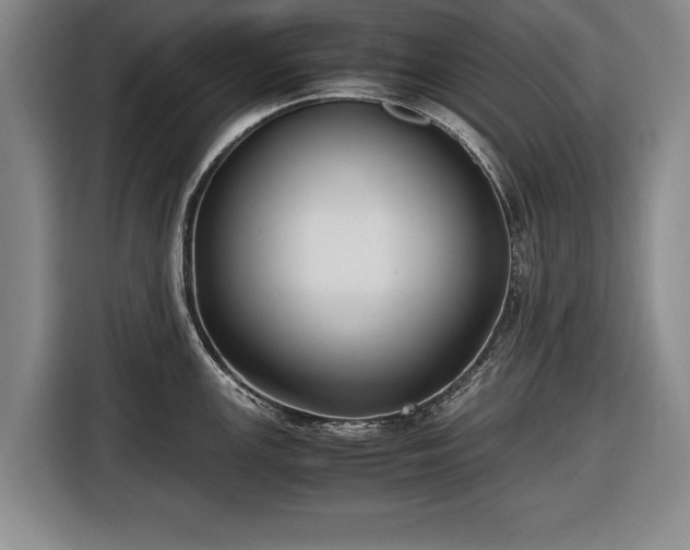 X0000116421147200912150953