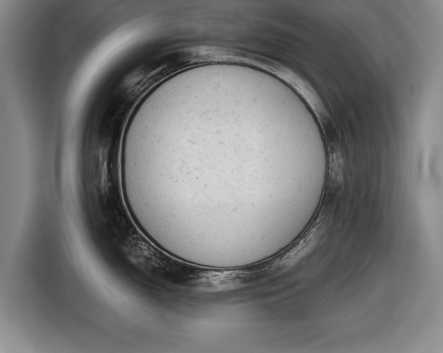 X0000116421150200912150953
