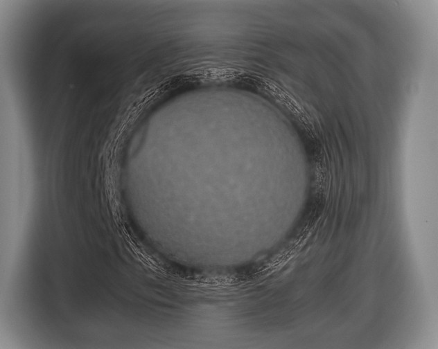 X0000116421153200912150952