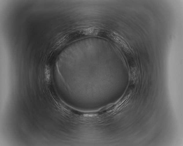 X0000116421154200912150952