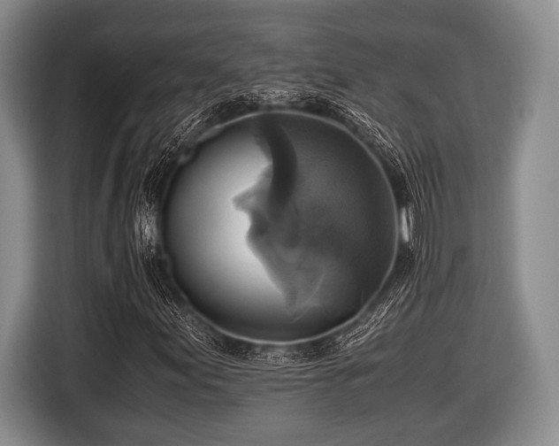 X0000116421155200912150952