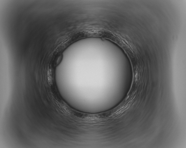 X0000116421156200912150952