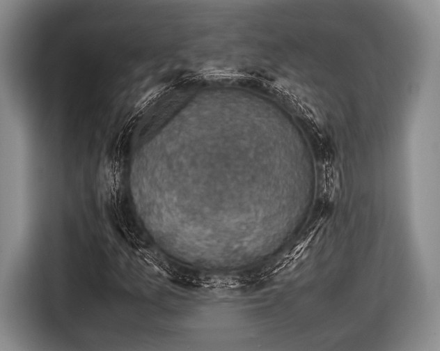 X0000116421157200912150952