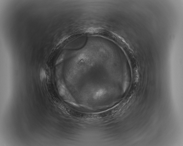 X0000116421158200912150952