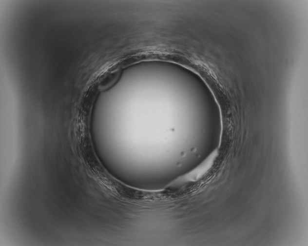 X0000116421159200912150952