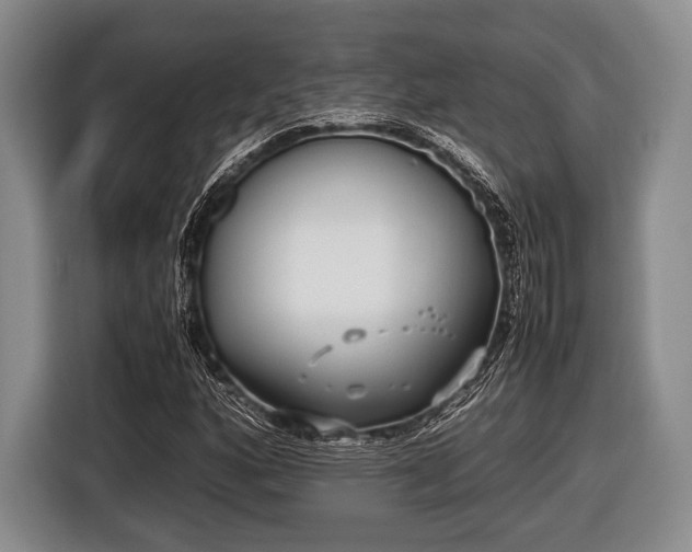 X0000116421160200912150952