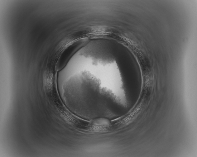 X0000116421161200912150952
