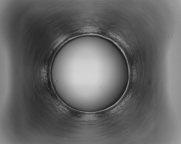 X0000116421162200912150952