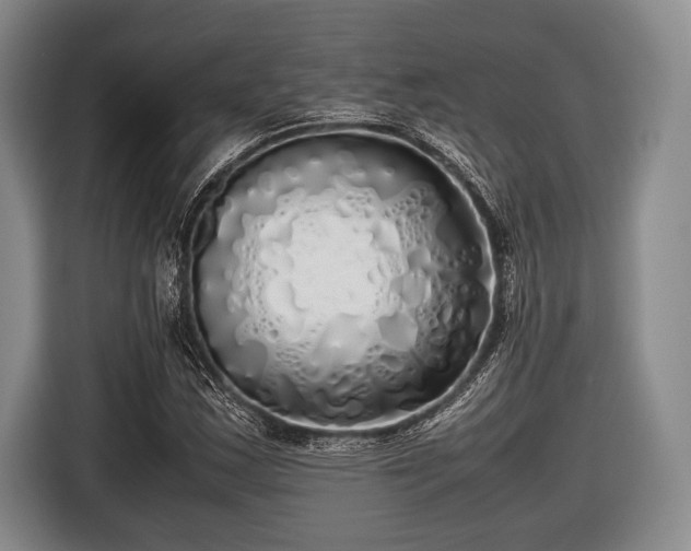 X0000116421163200912150952