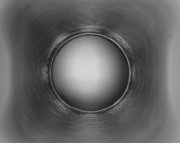 X0000116421164200912150952
