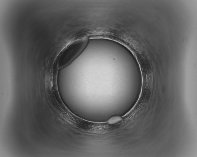 X0000116421165200912150952