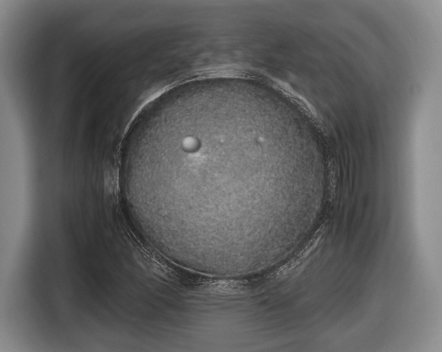 X0000116421166200912150952