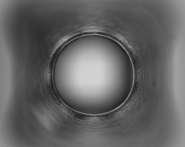 X0000116421167200912150952