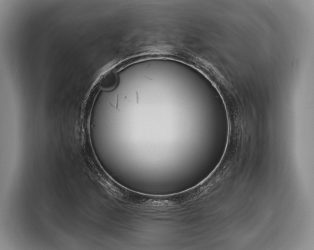 X0000116421168200912150952