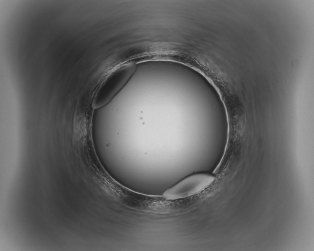 X0000116421169200912150952