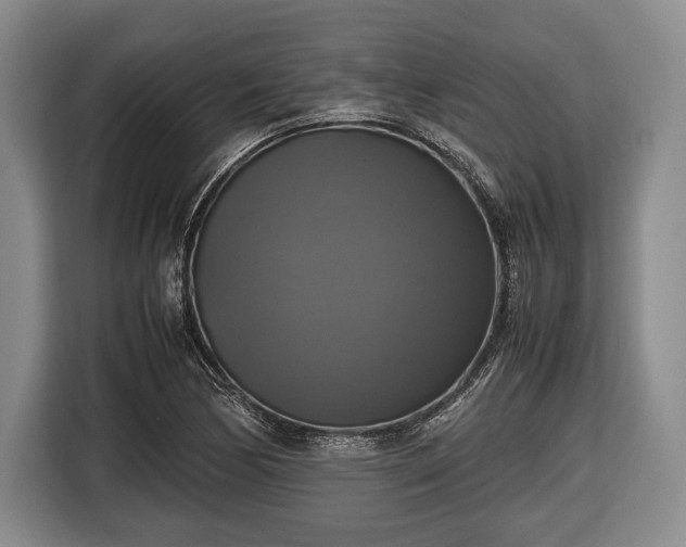 X0000116421170200912150952