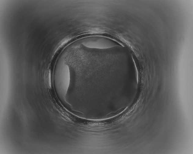 X0000116421171200912150952