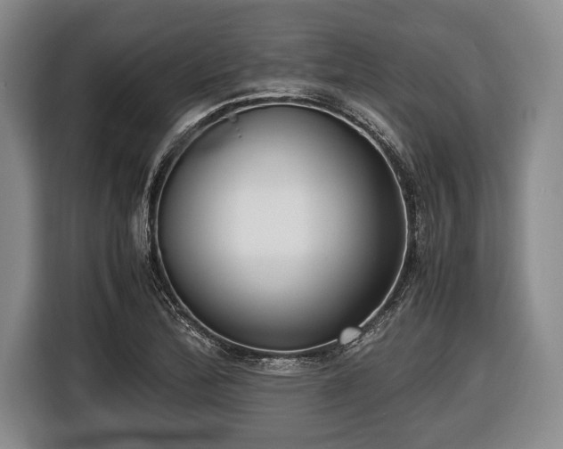 X0000116421172200912150952