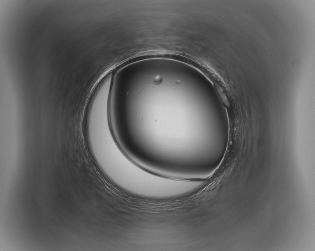 X0000116421173200912150952