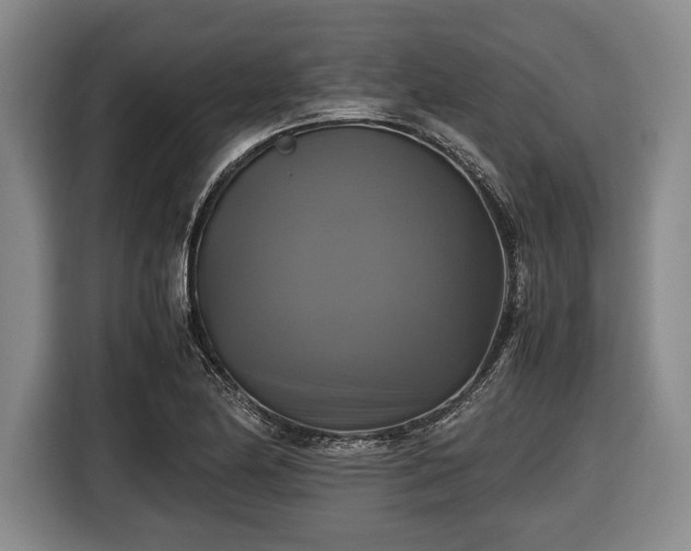 X0000116421174200912150952
