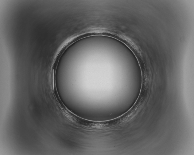 X0000116421175200912150952