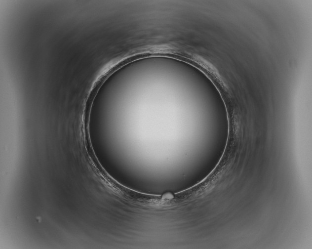 X0000116421176200912150952