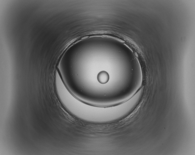X0000116421177200912150952