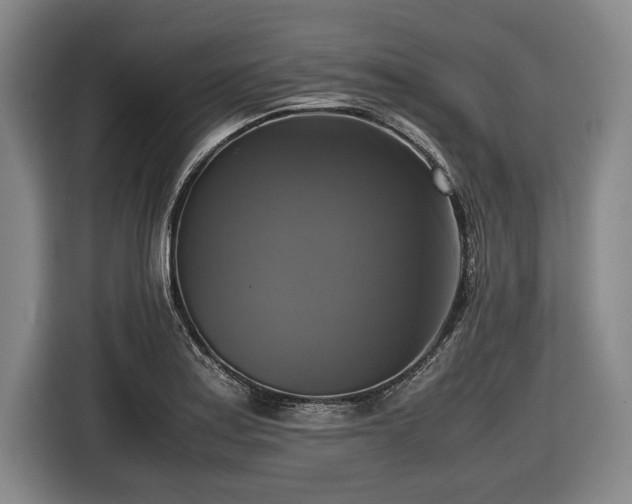 X0000116421179200912150952
