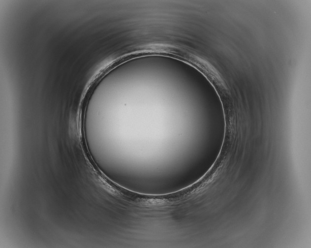 X0000116421180200912150952