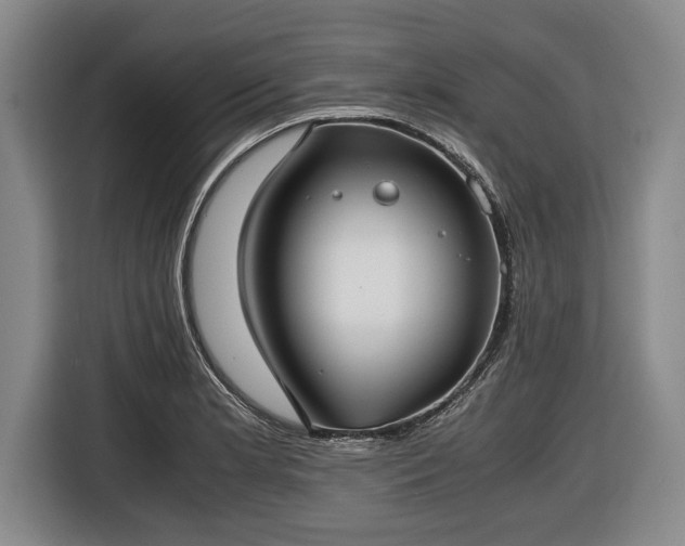 X0000116421181200912150952