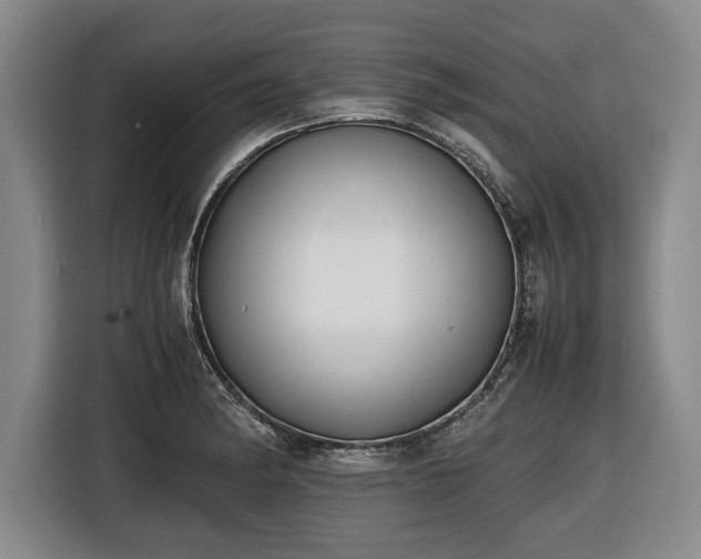 X0000116421182200912150952