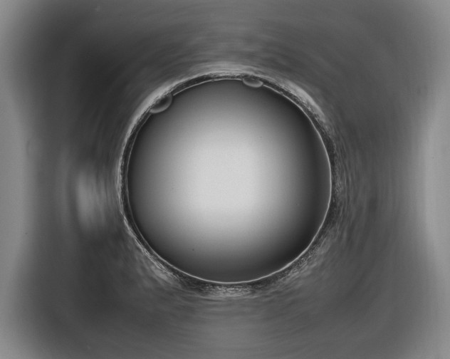X0000116421183200912150952