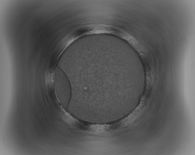 X0000116421185200912150952