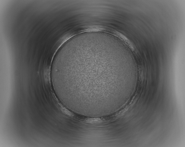 X0000116421186200912150952