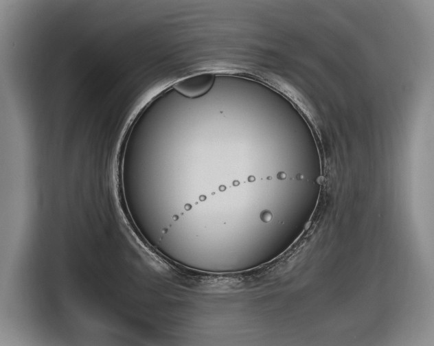 X0000116421187200912150952