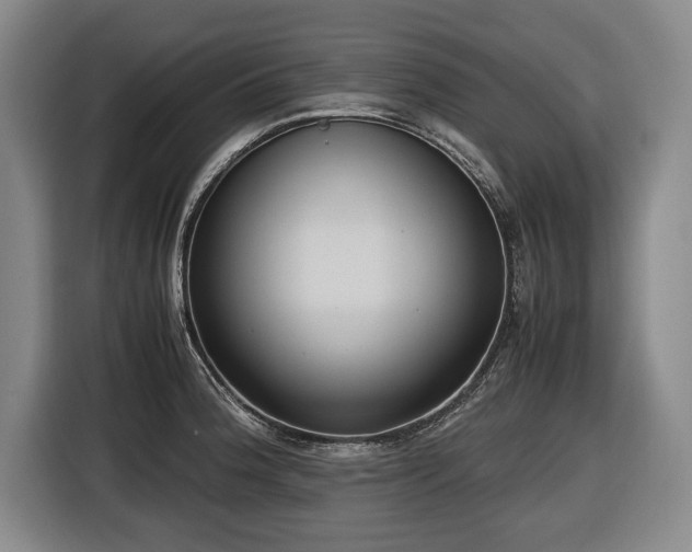 X0000116421188200912150952