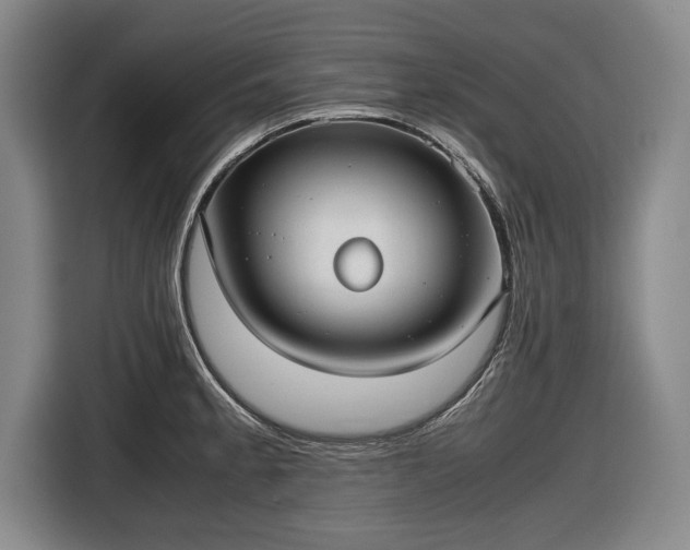 X0000116421189200912150952
