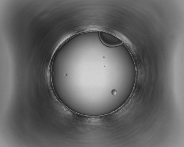 X0000116421190200912150952