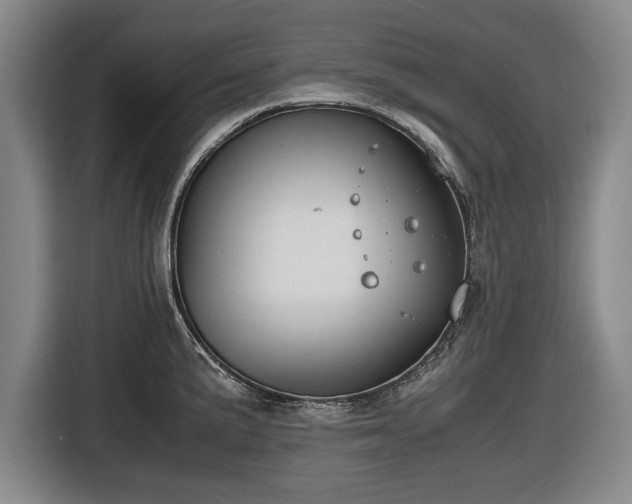 X0000116421191200912150952