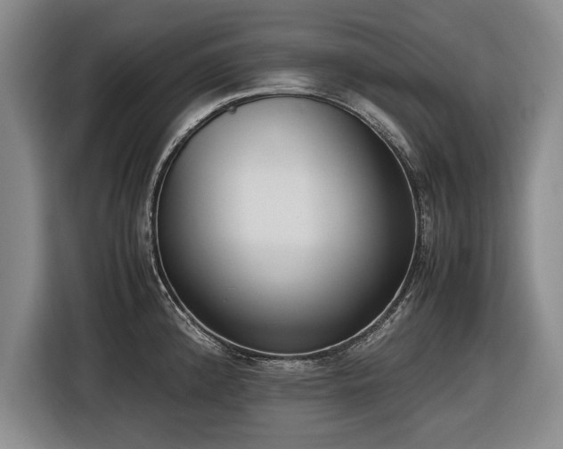 X0000116421192200912150952