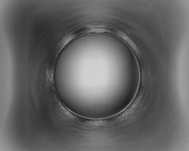 X0000116421193200912150952
