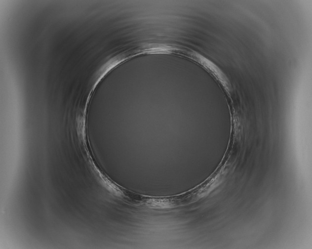 X0000116421194200912150952