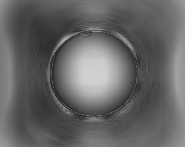 X0000116421195200912150952