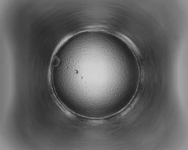 X0000116421196200912150952