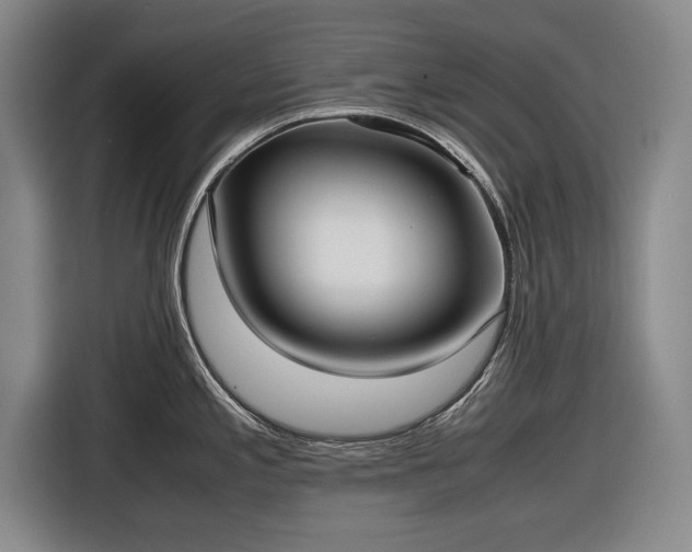 X0000116421197200912150952